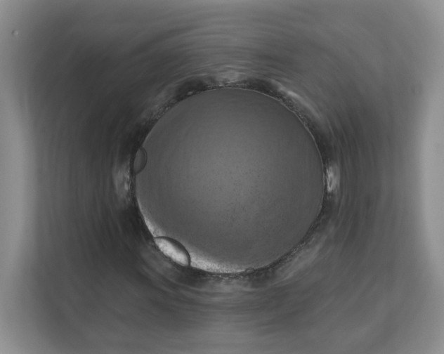 X0000111361011200907311008