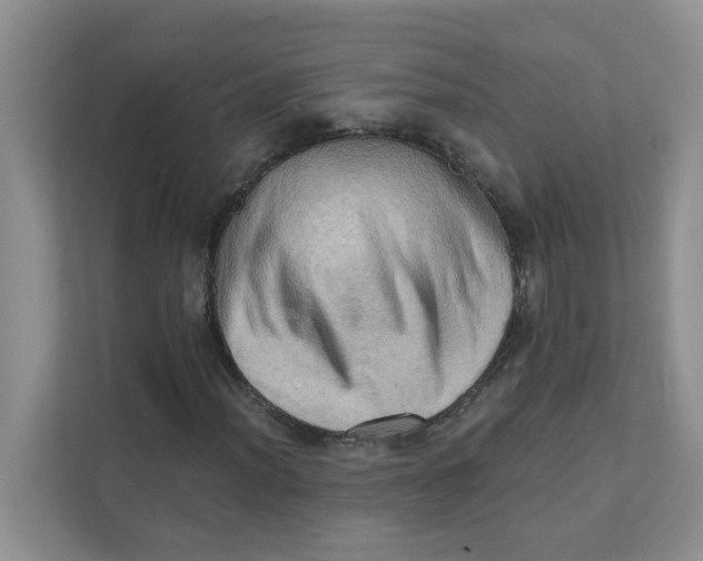 X0000111361012200907311008
