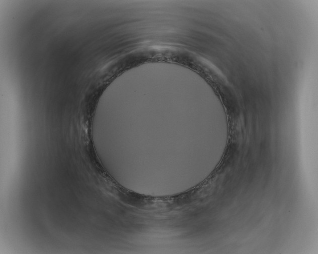 X0000111361013200907311008