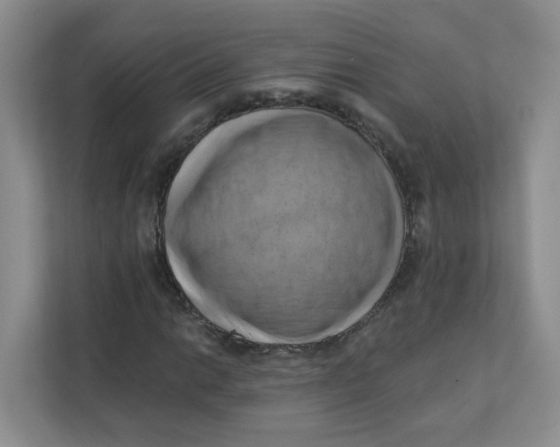 X0000111361014200907311008