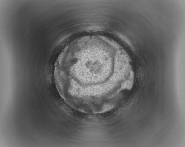 X0000111361015200907311008