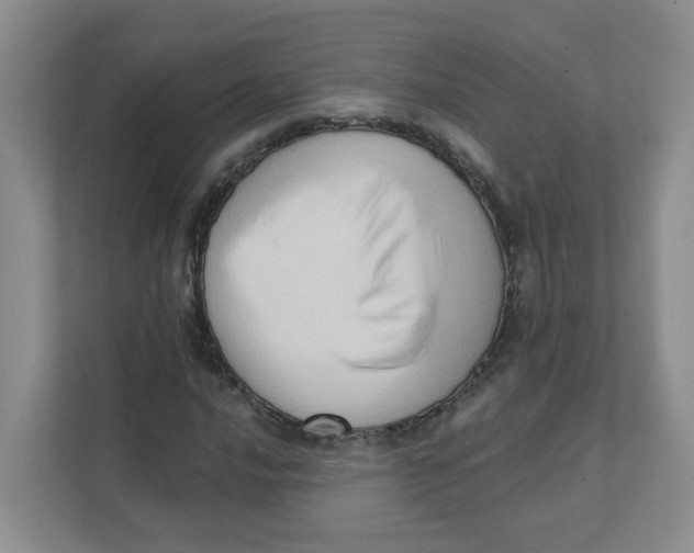 X0000111361016200907311008