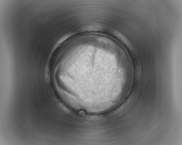 X0000111361018200907311008