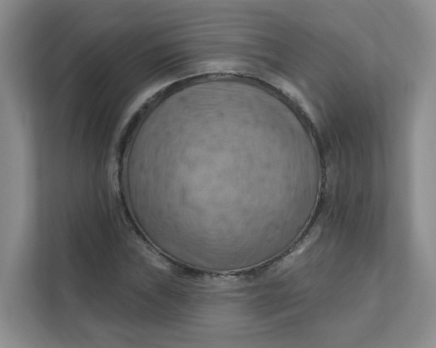 X0000111361019200907311008