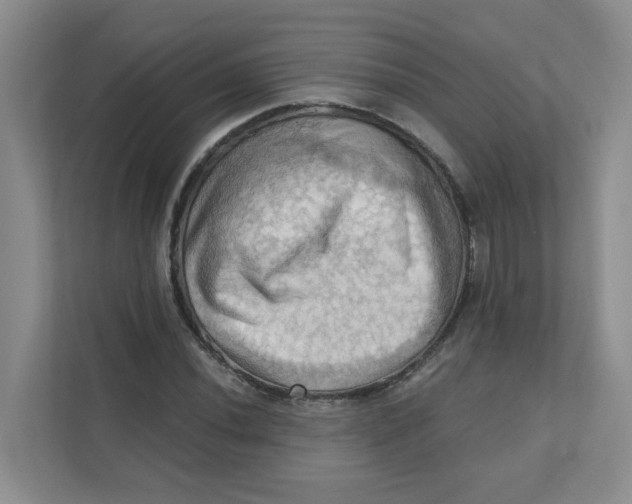 X0000111361020200907311008