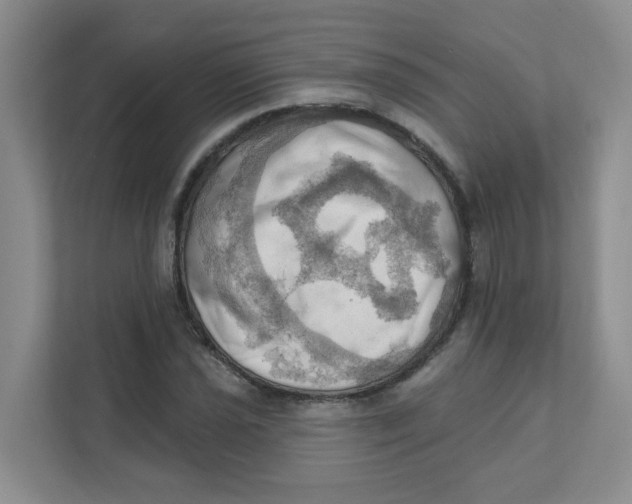 X0000111361021200907311008