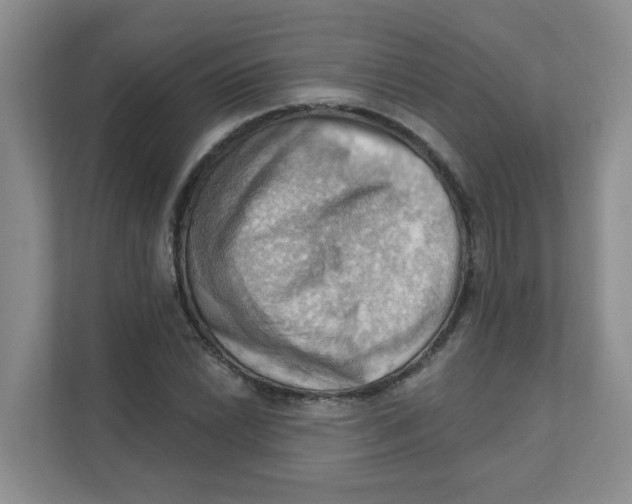 X0000111361022200907311008