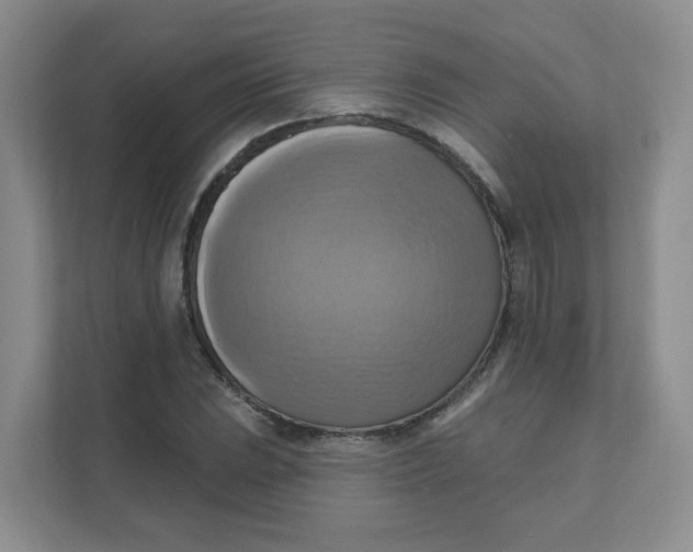 X0000111361023200907311008