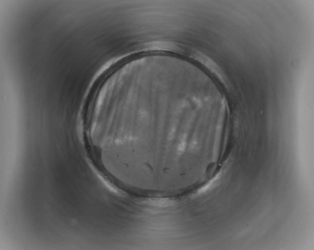 X0000111361024200907311008