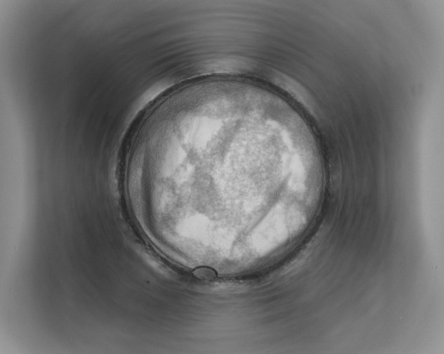 X0000111361026200907311008