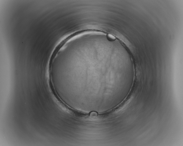 X0000111361028200907311008