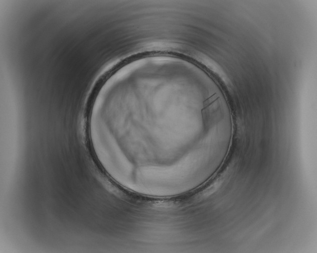 X0000111361029200907311008