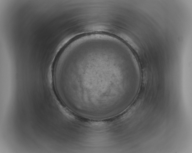 X0000111361031200907311008