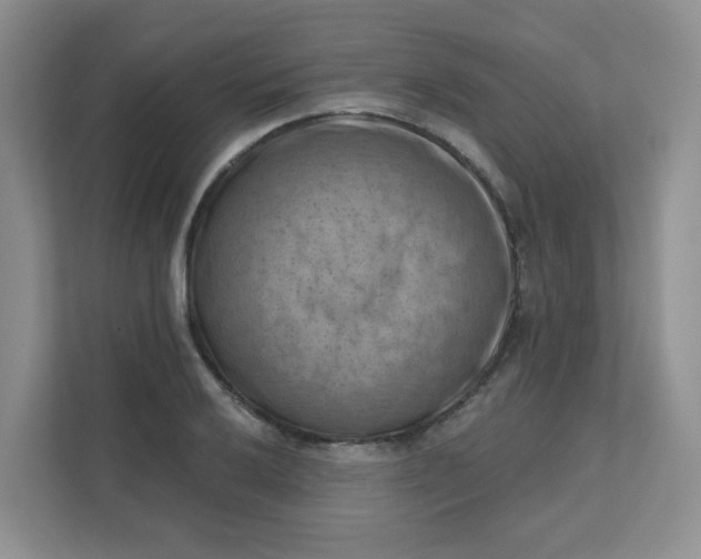 X0000111361032200907311008