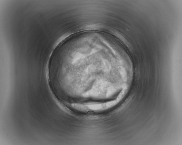 X0000111361034200907311009