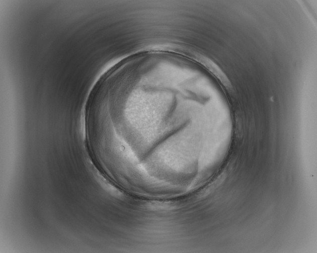 X0000111361036200907311009