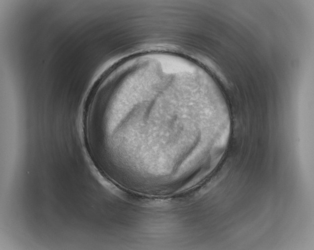 X0000111361038200907311009