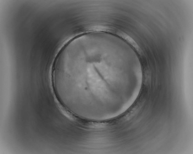 X0000111361039200907311009