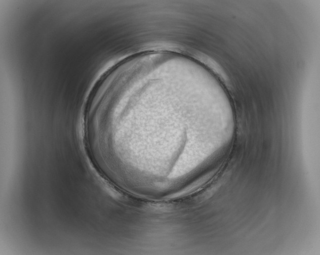 X0000111361040200907311009