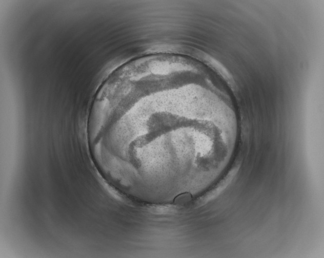 X0000111361041200907311009