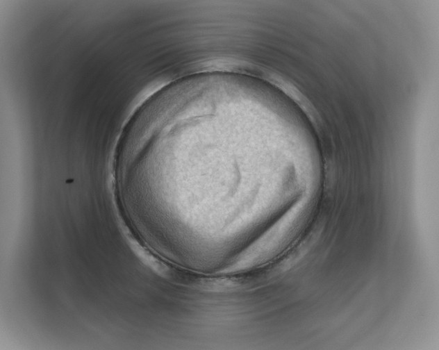 X0000111361042200907311009