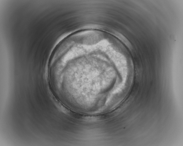 X0000111361044200907311009