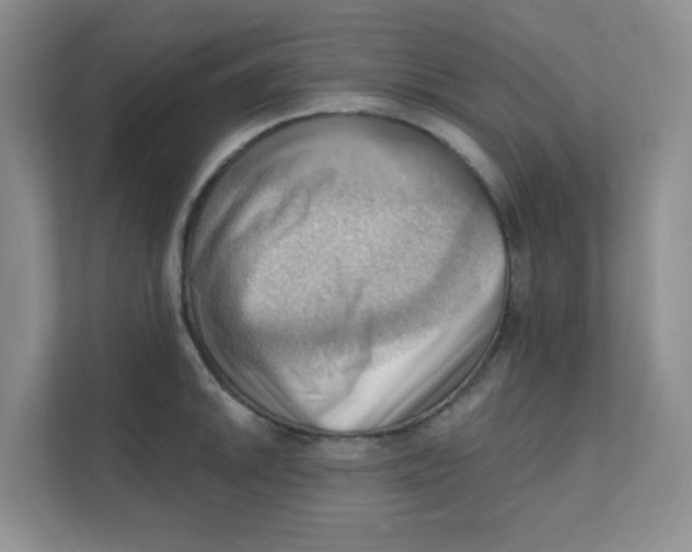 X0000111361046200907311009