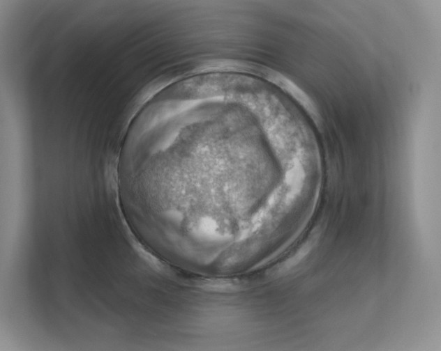 X0000111361049200907311009