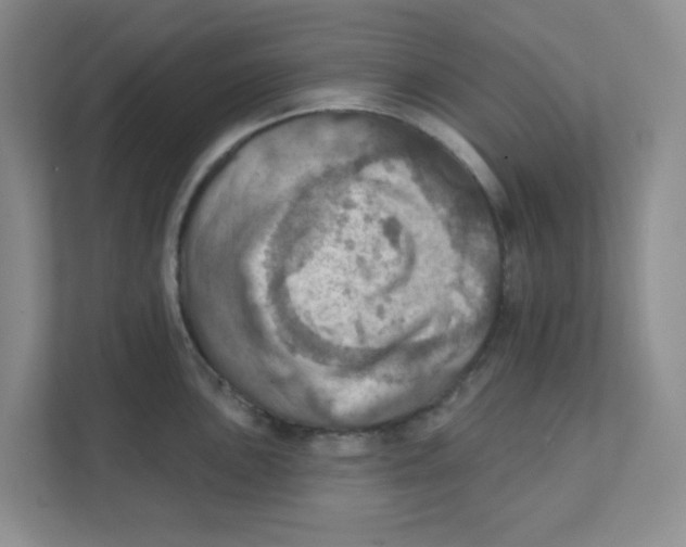 X0000111361051200907311009