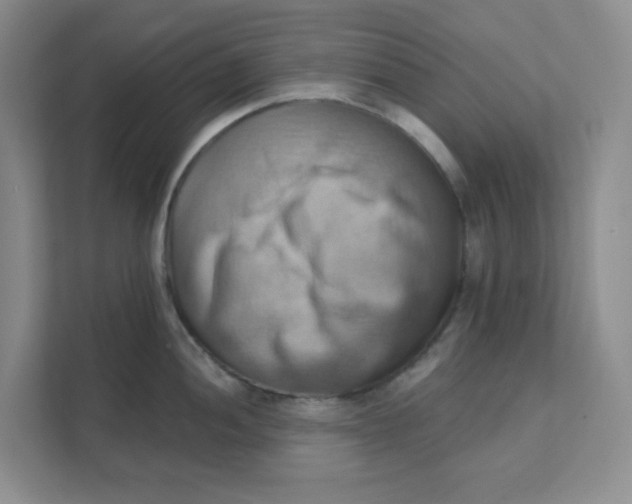 X0000111361052200907311009