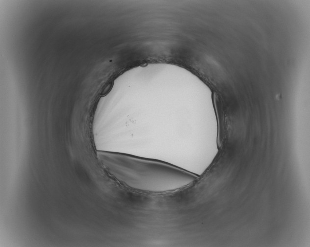X0000111361057200907311008