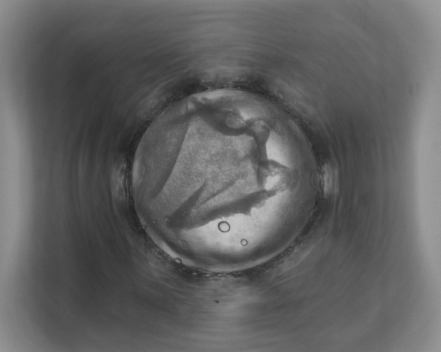 X0000111361059200907311008