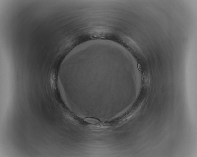 X0000111361060200907311008