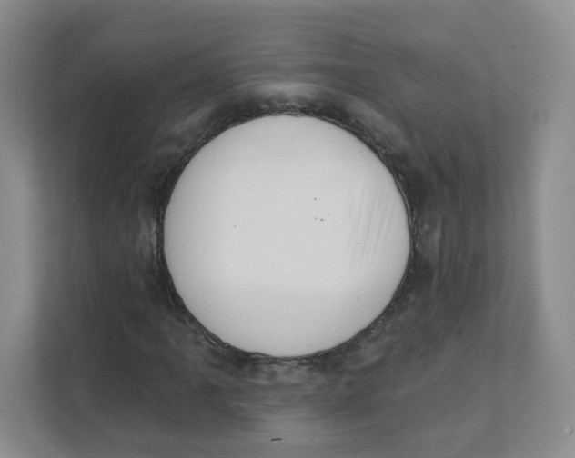 X0000111361061200907311008