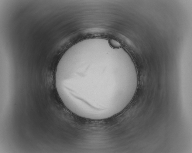 X0000111361062200907311008