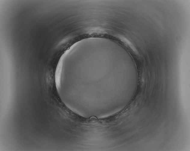 X0000111361063200907311008
