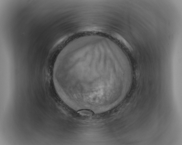 X0000111361064200907311008