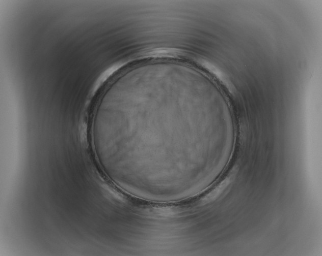 X0000111361066200907311008