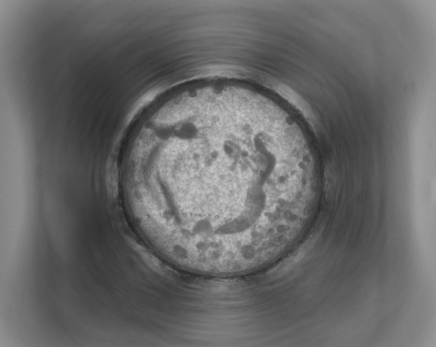 X0000111361067200907311008