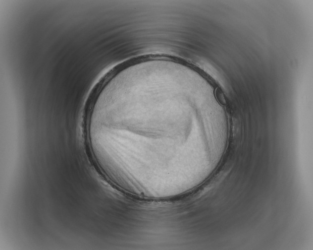 X0000111361068200907311008