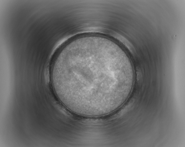 X0000111361069200907311008