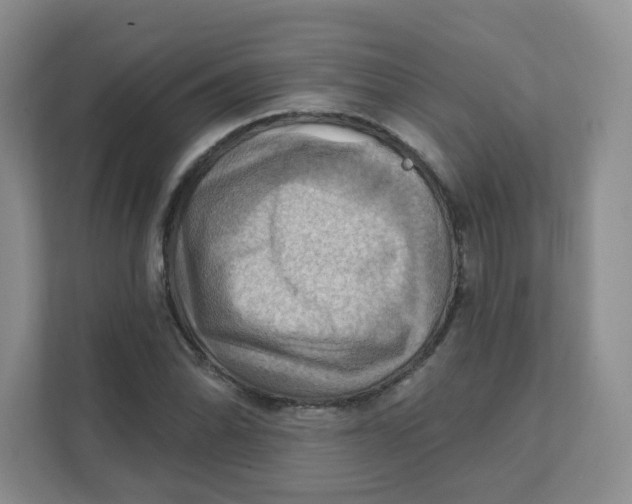 X0000111361070200907311008