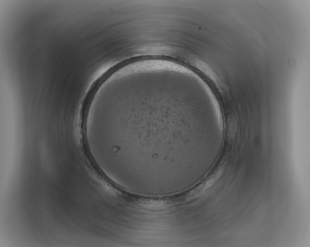 X0000111361071200907311008