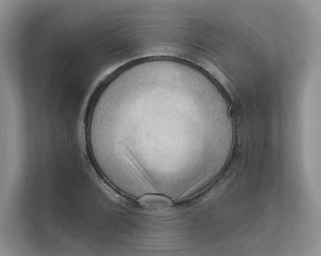X0000111361072200907311008