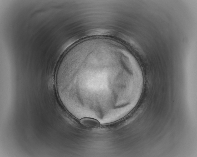 X0000111361073200907311008