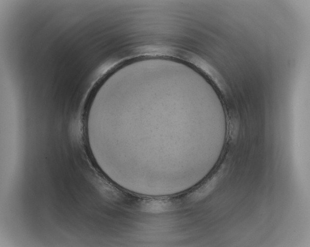 X0000111361074200907311008
