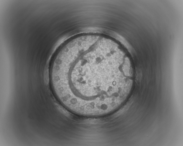 X0000111361075200907311008