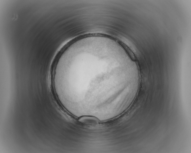 X0000111361076200907311008