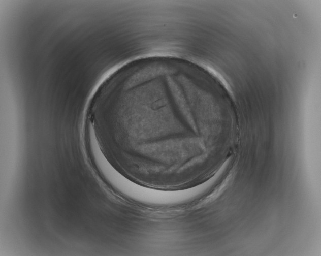 X0000111361077200907311008