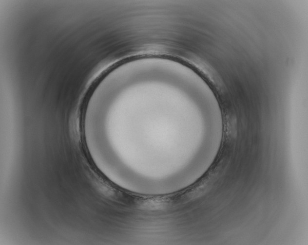 X0000111361078200907311008